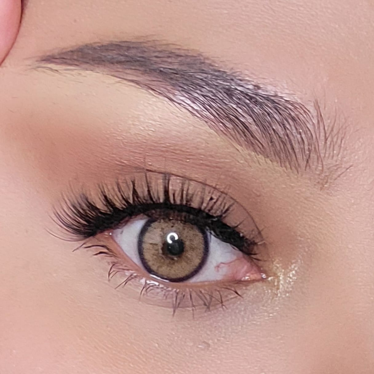 Edge Brown Meetone Contact Lenses