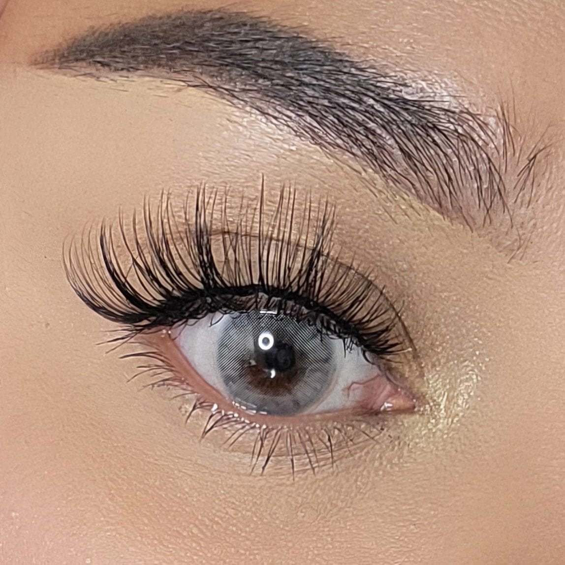 Hidrotone Gray Meetone Contact Lenses