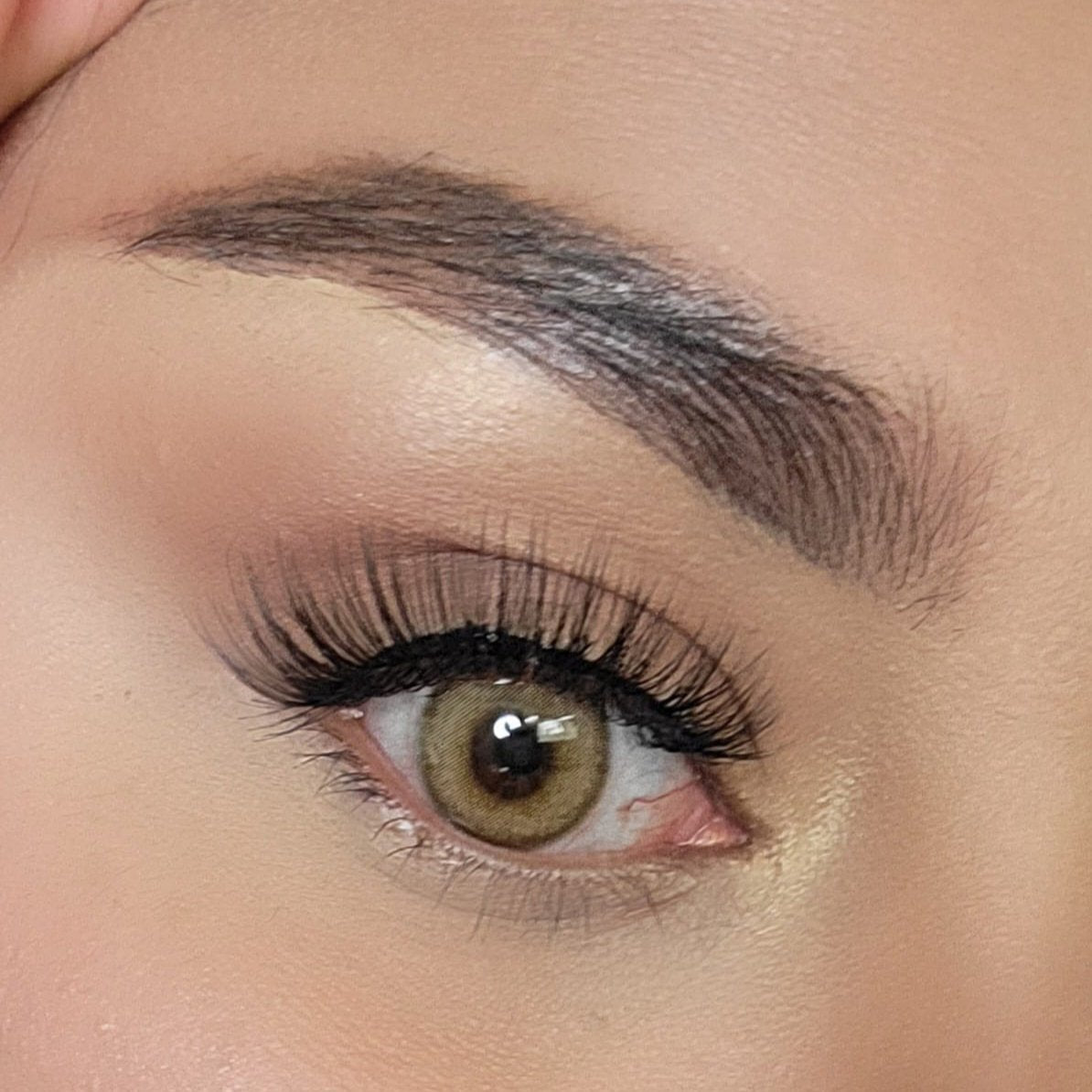 Lolita Brown Meetone Contact Lenses