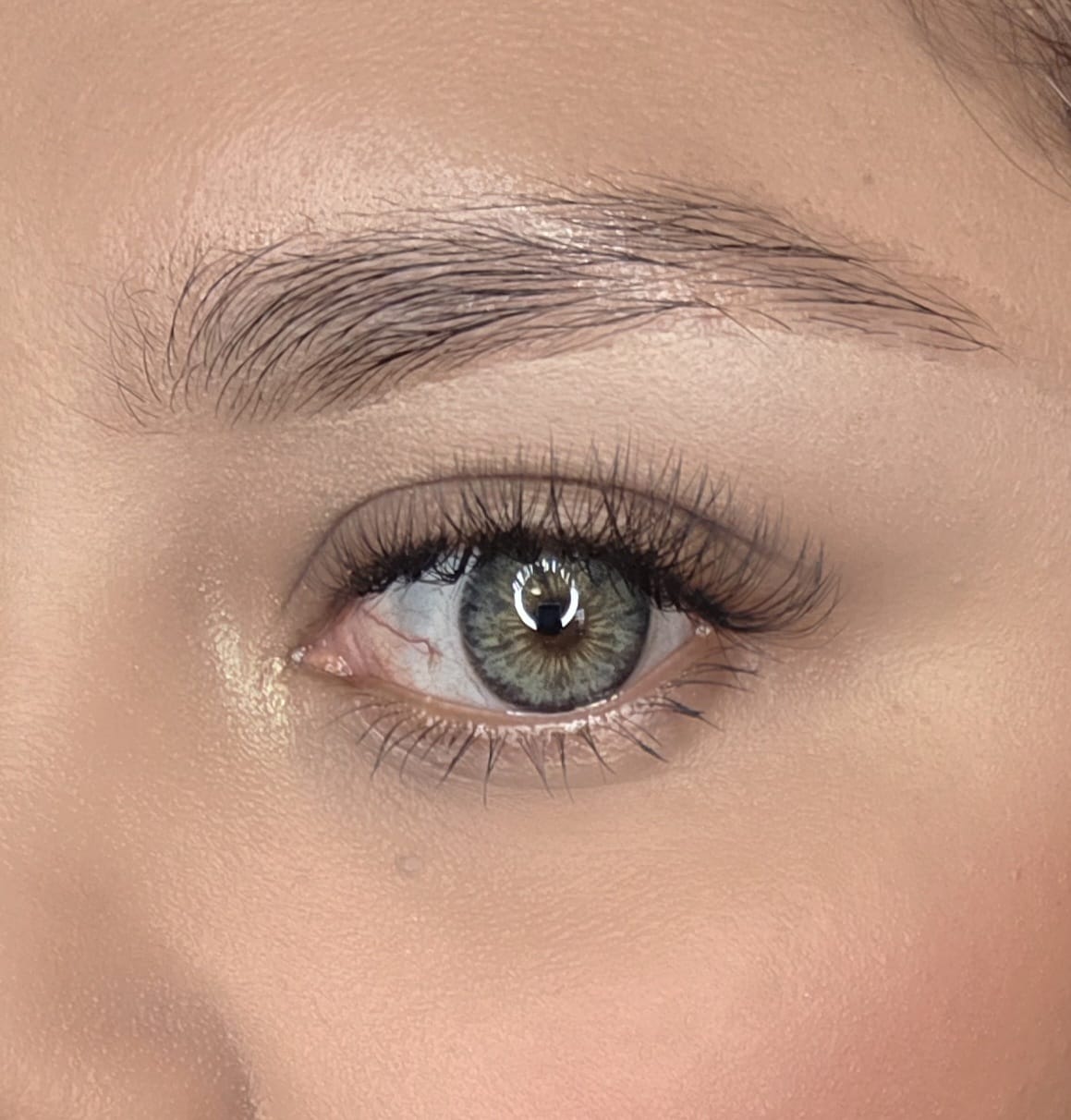 Cleopatra Gray Meetone Contact Lenses