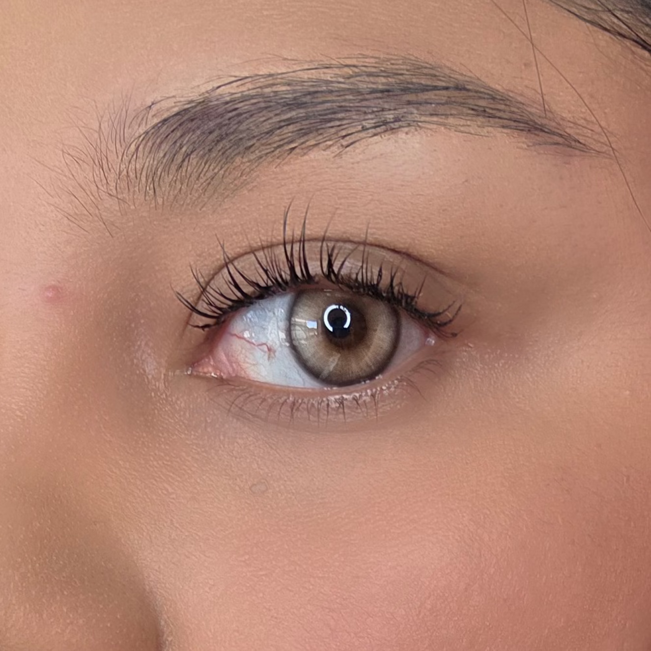 Glaze Gray Freshlady