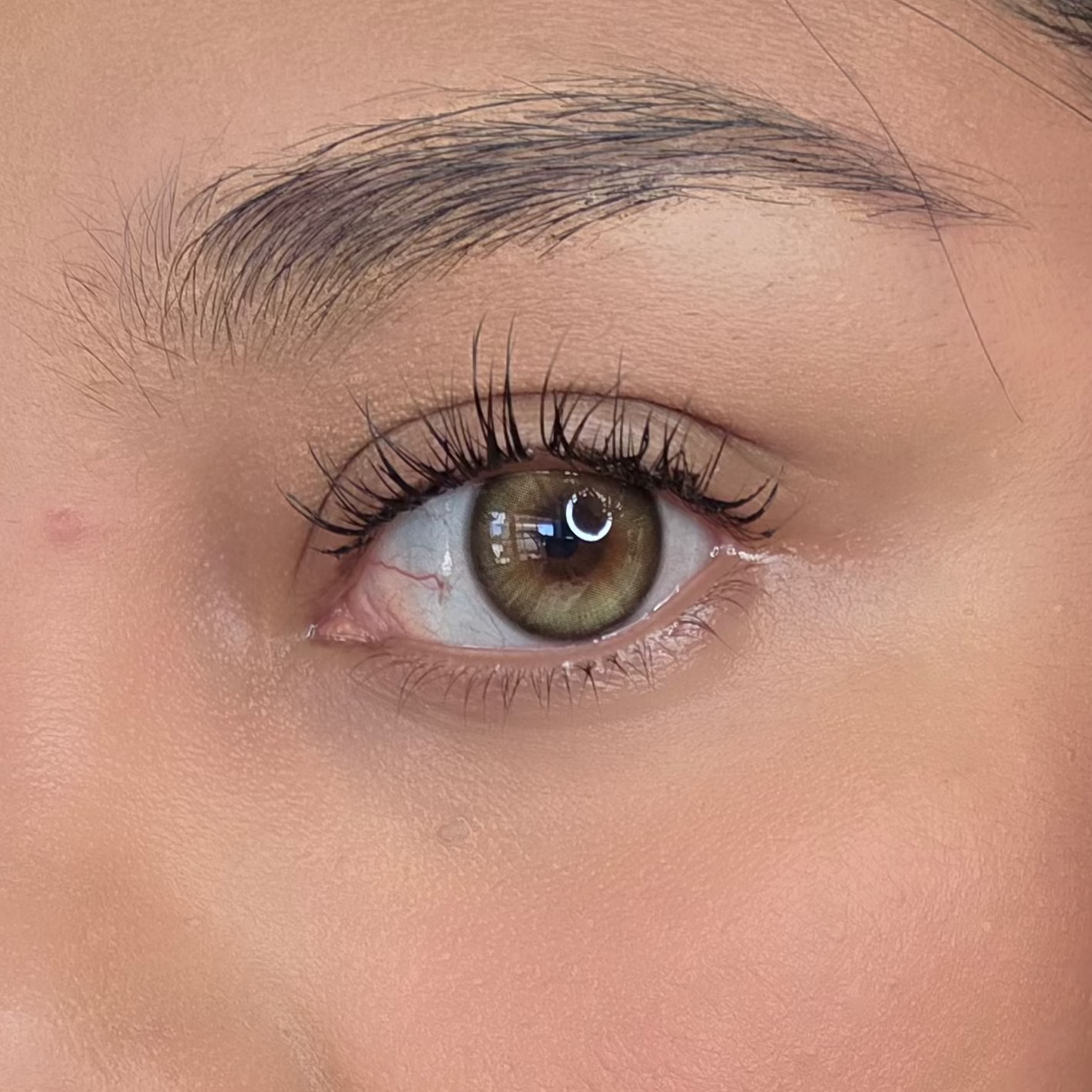 Glaze Brown Freshlady