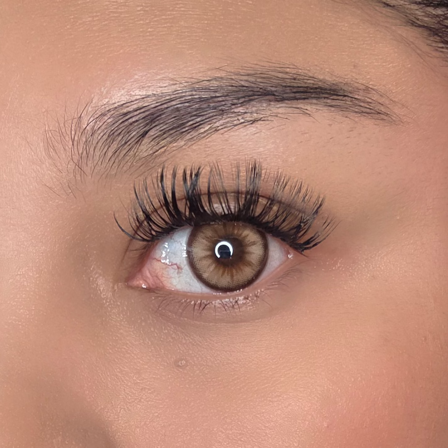 Plum Glow Brown Freshlady