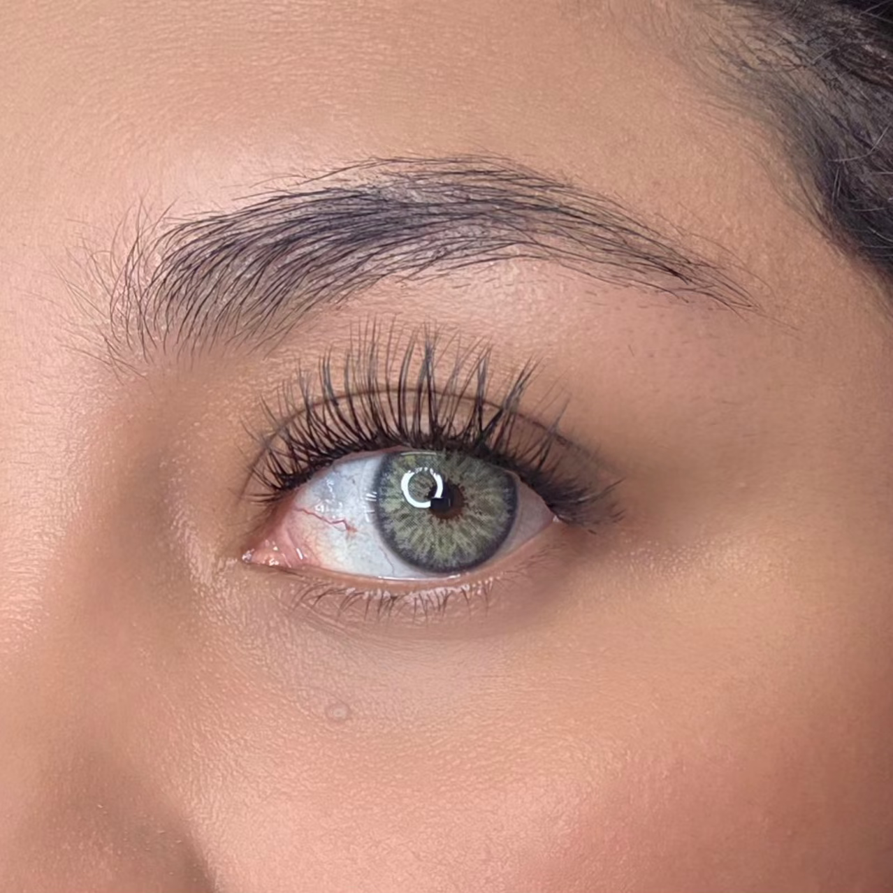 Breeze Gray Meetone (small pupil)