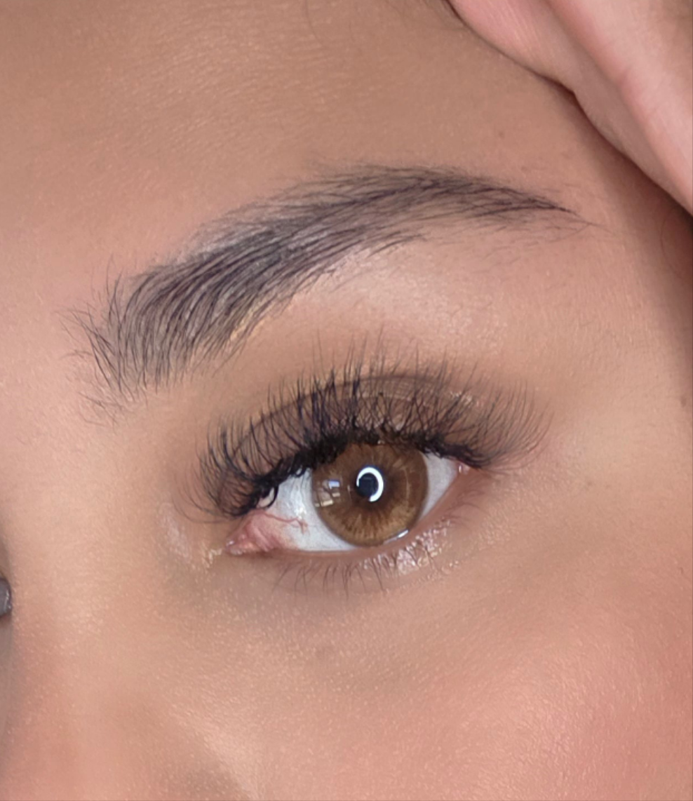 Glimmer Brown Meetone