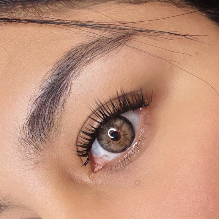 Siri Brown Meetone (small pupil)