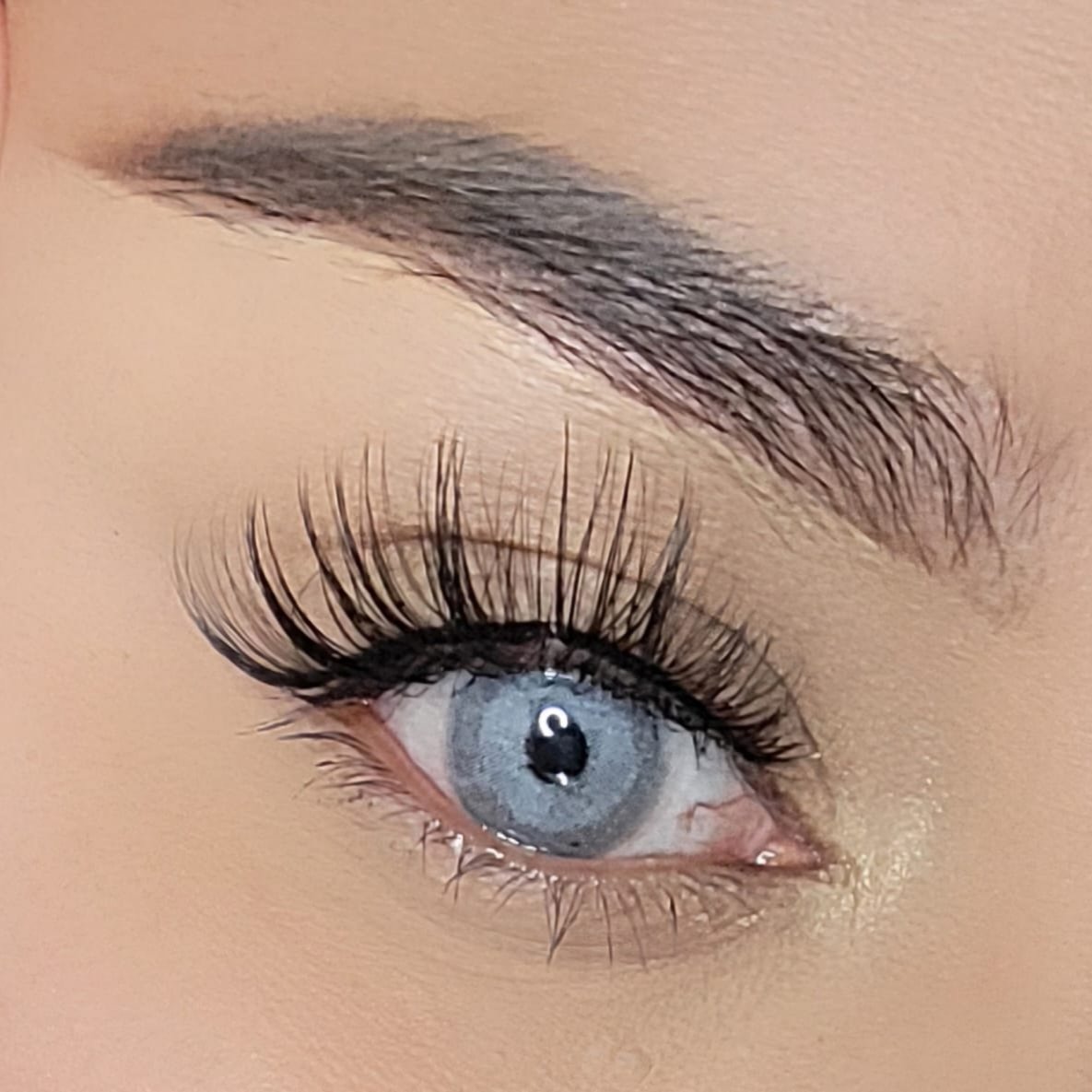 Barbie Gray Meetone Contact Lenses