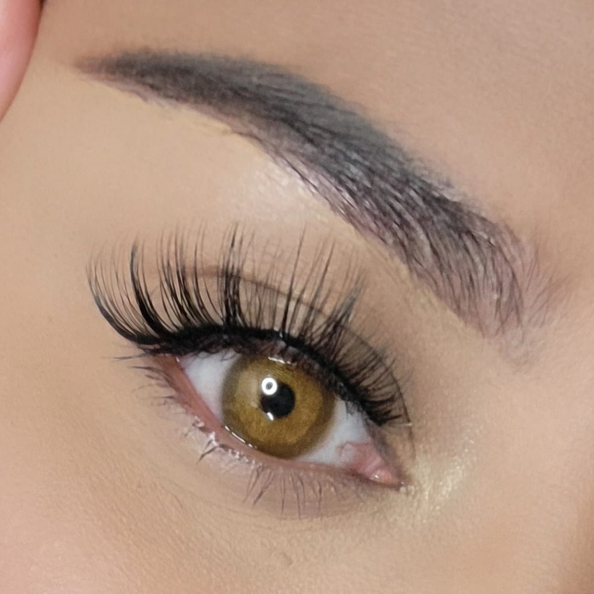 Barbie Brown Meetone Contact Lenses