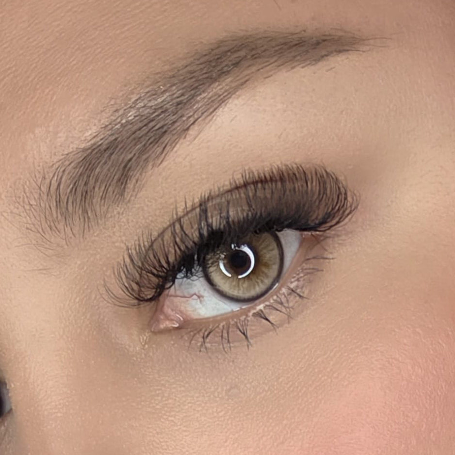 Twilight Brown Meetone