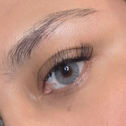 Hidrotone Graphite Meetone Contact Lenses