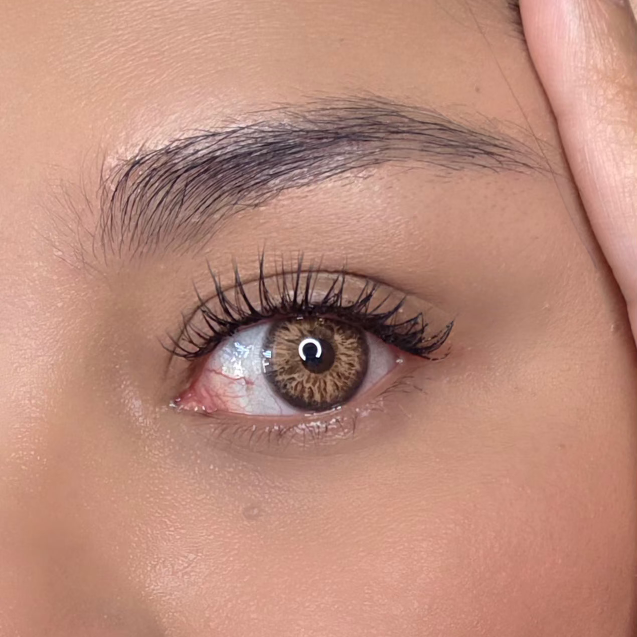 Aphrodite Brown Meetone Contact Lenses