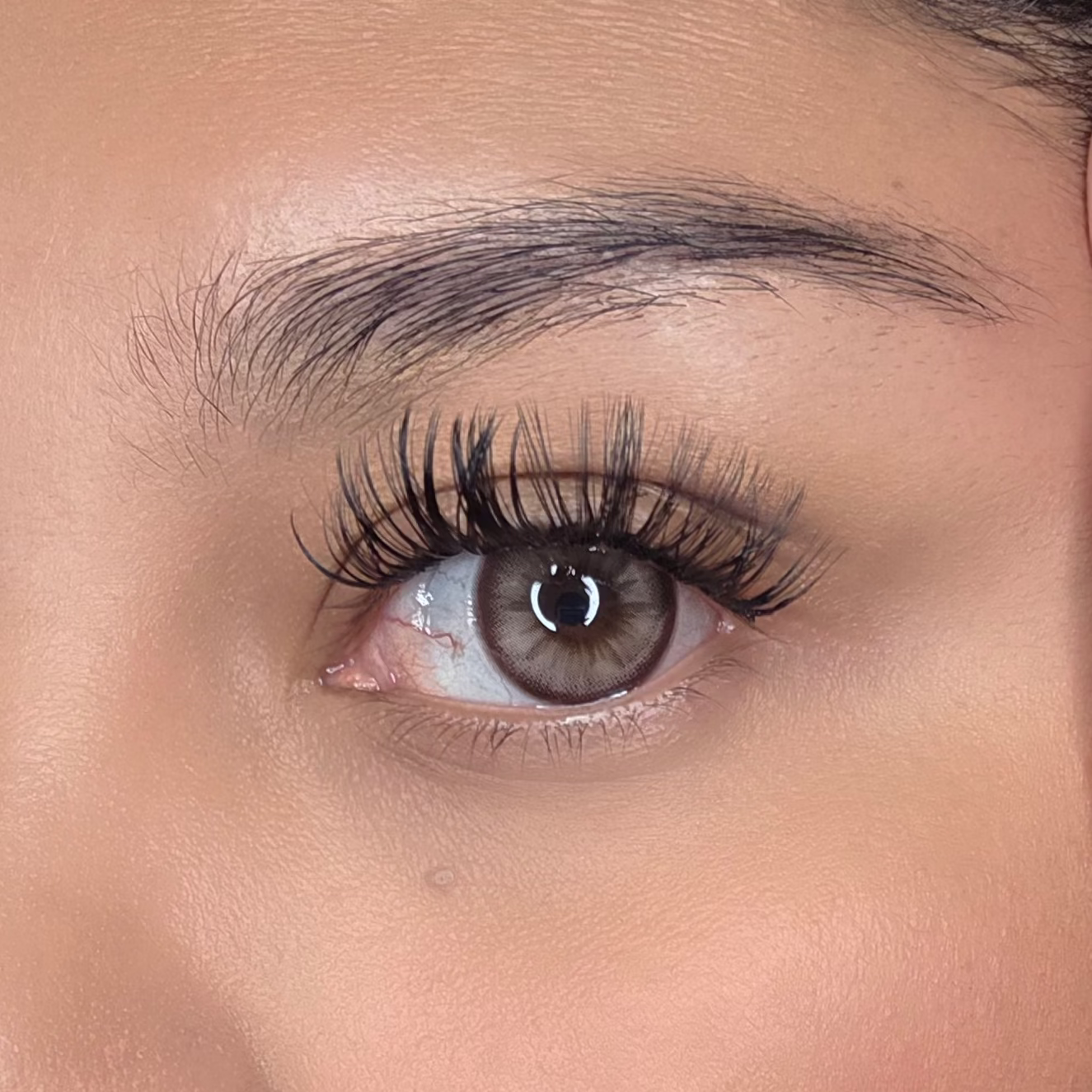 Plum Glow Hazel Freshlady