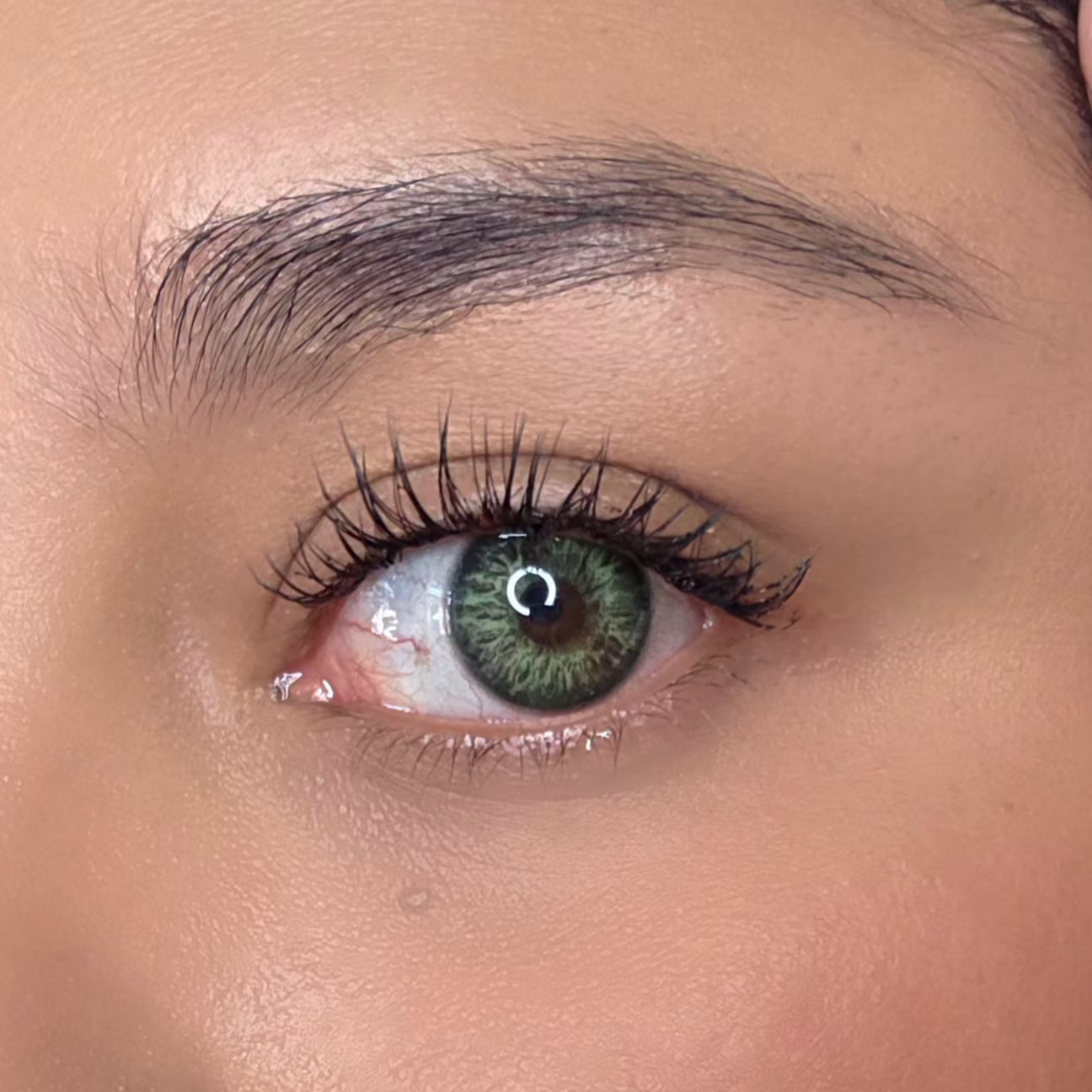 Aphrodite Green Meetone Contact Lenses