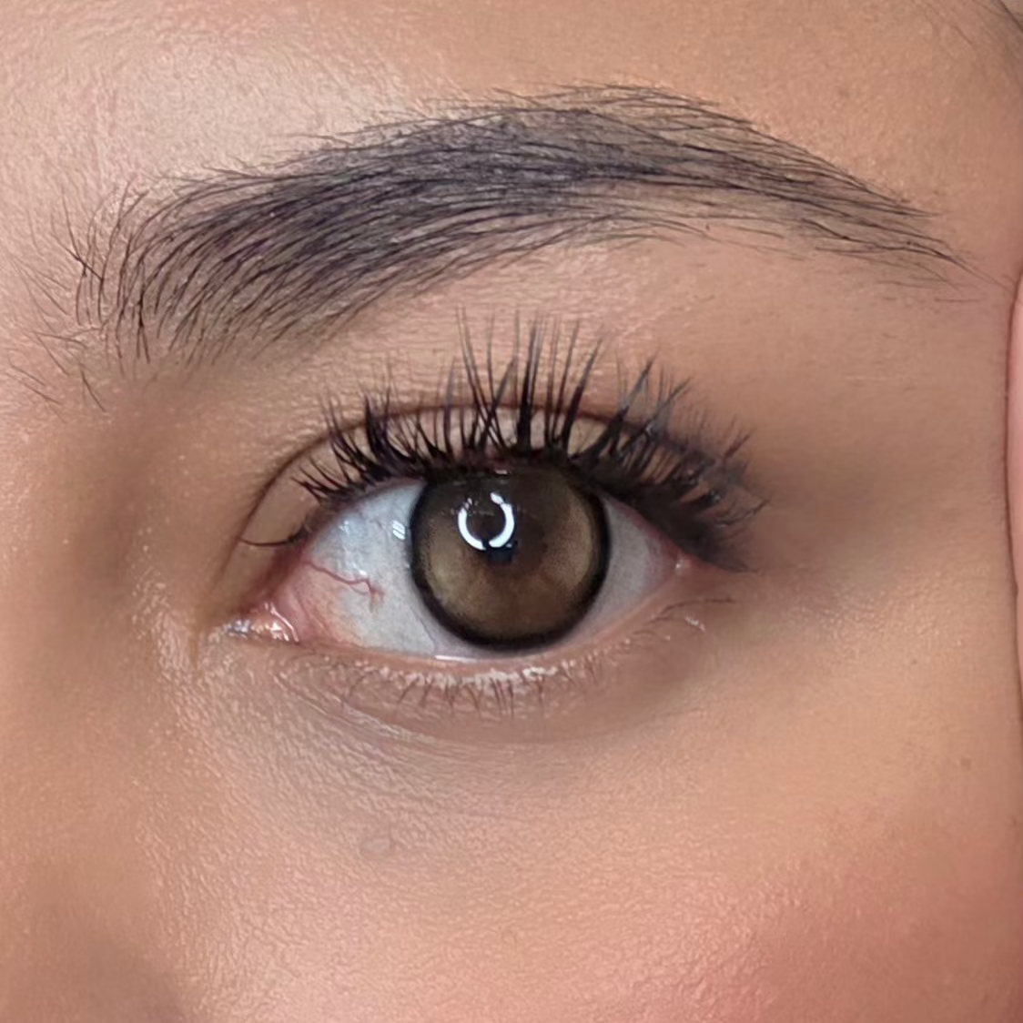 Midi Brown Meetone